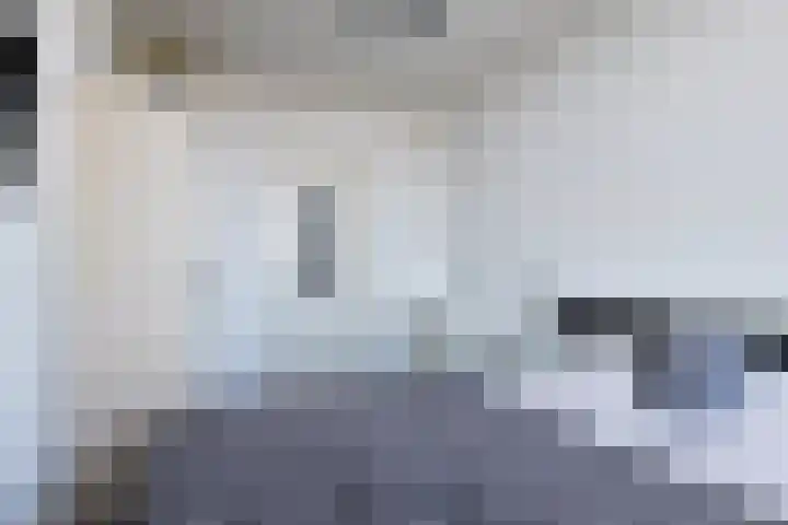 Gerberalaan 31 Naaldwijk thumbnail 12