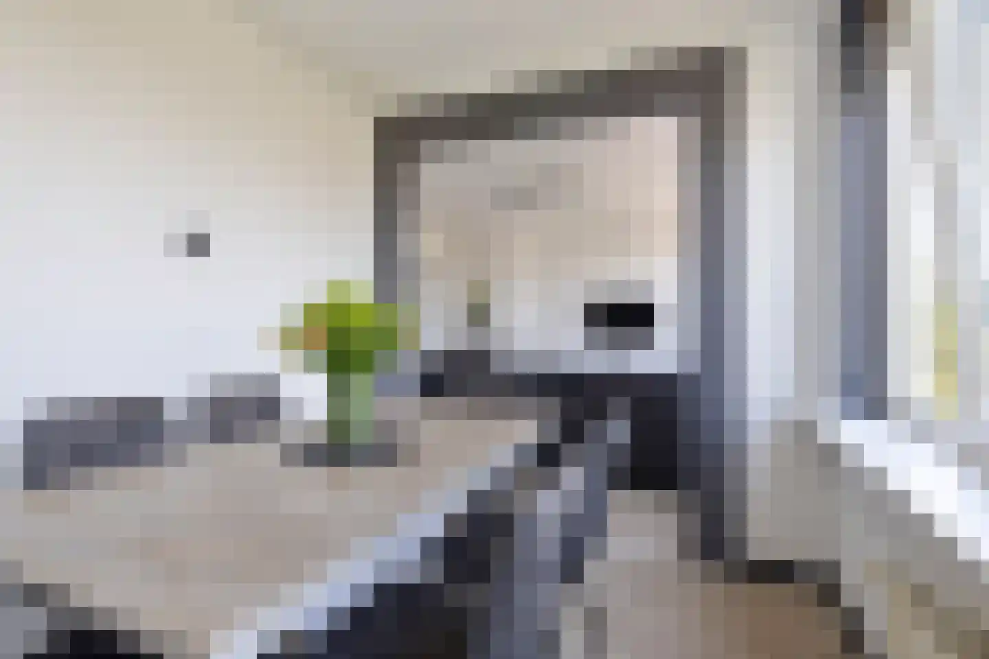 Gerberalaan 31 Naaldwijk thumbnail 16