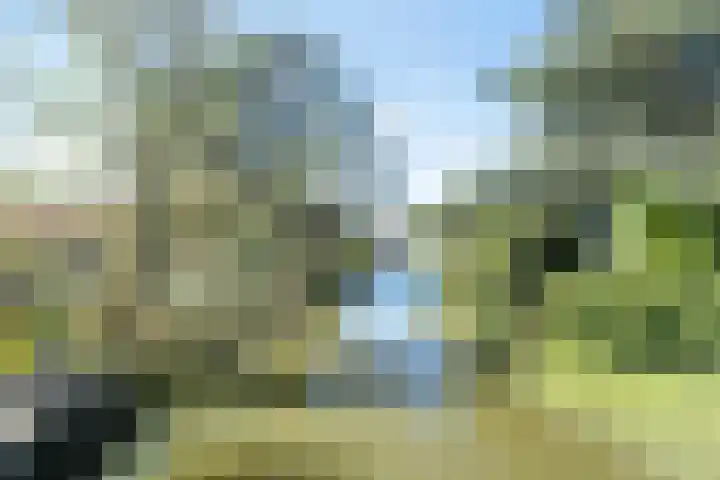 Gerberalaan 31 Naaldwijk thumbnail 17