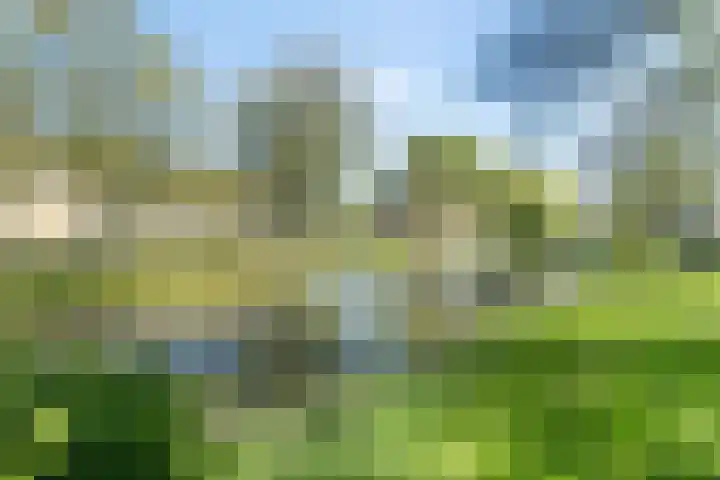 Gerberalaan 31 Naaldwijk thumbnail 18