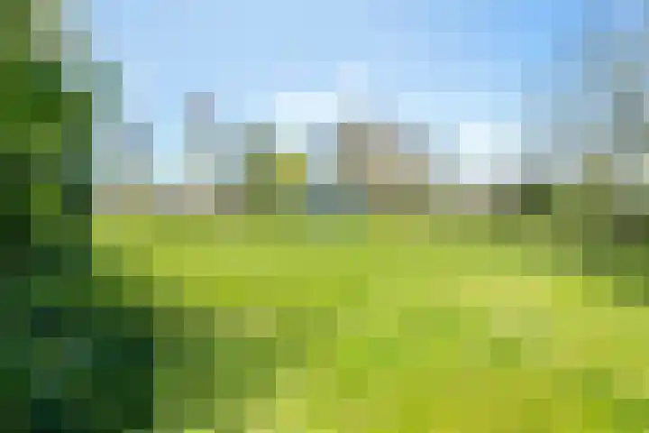 Gerberalaan 31 Naaldwijk thumbnail 19
