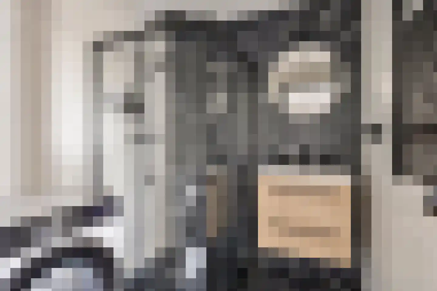 Gerberalaan 31 Naaldwijk thumbnail 19