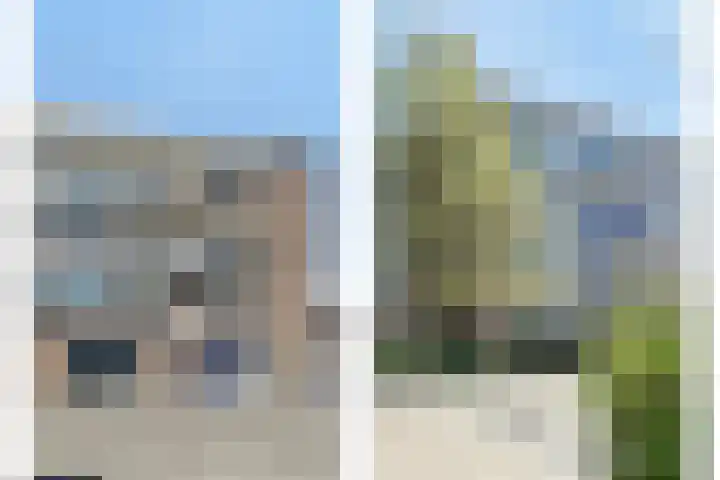Gerberalaan 31 Naaldwijk thumbnail 20