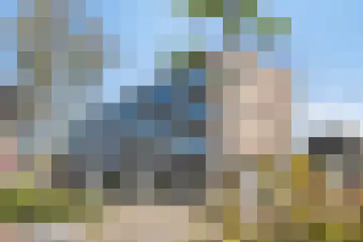Gerberalaan 31 Naaldwijk thumbnail 24