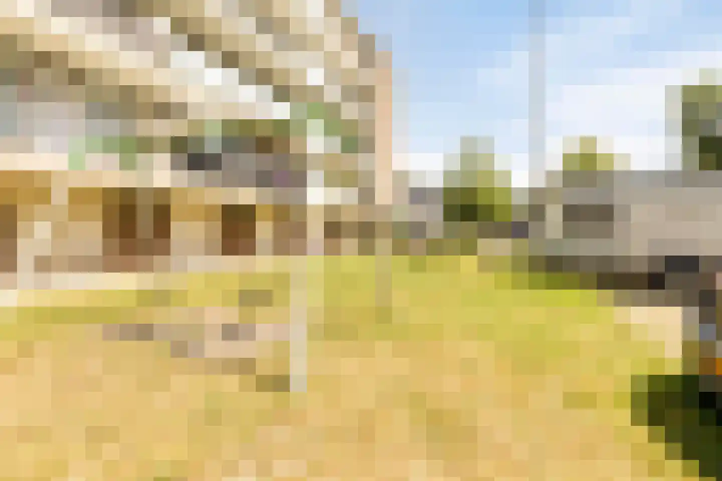 Gerberalaan 31 Naaldwijk thumbnail 26