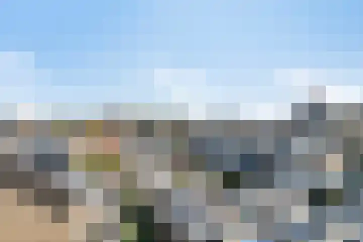 Gerberalaan 31 Naaldwijk thumbnail 29