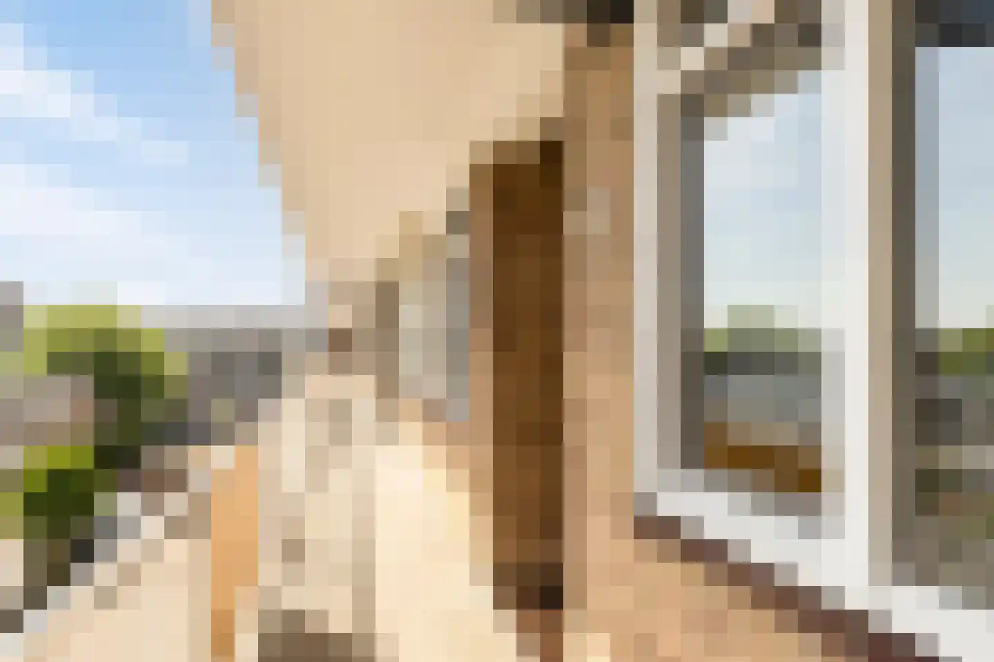 Gerberalaan 31 Naaldwijk thumbnail 8
