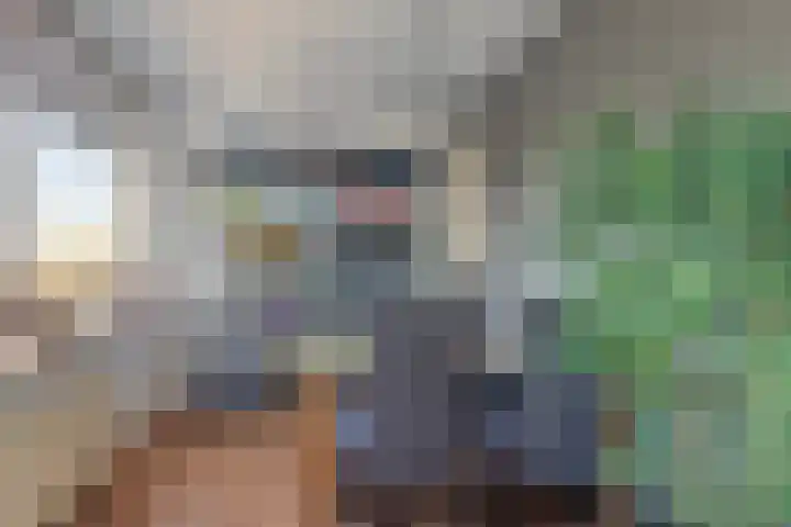Gerberalaan 31 Naaldwijk thumbnail 8