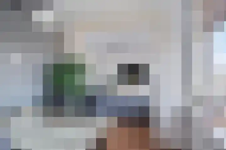 Gerberalaan 31 Naaldwijk thumbnail 9