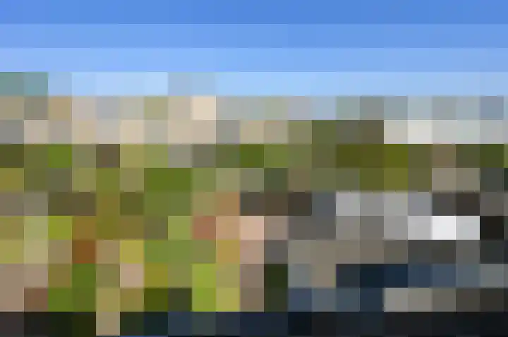 Gerberalaan 44 Naaldwijk thumbnail 28