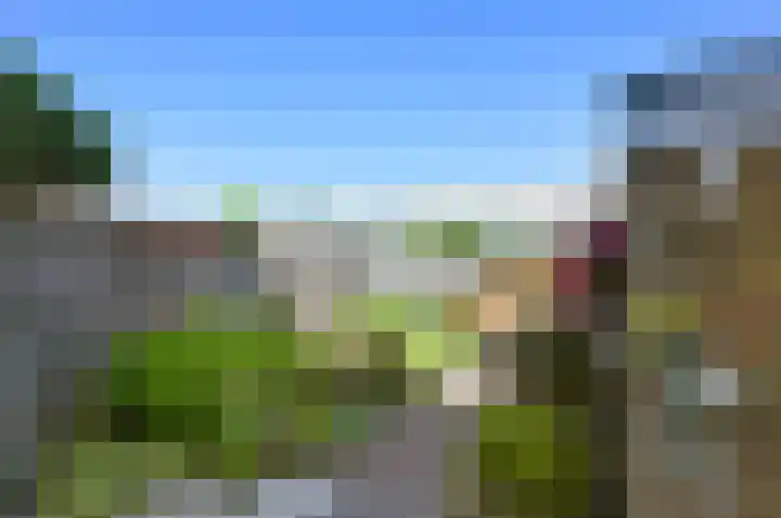 Gerberalaan 44 Naaldwijk thumbnail 31