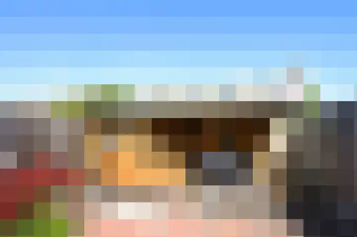 Gerberalaan 44 Naaldwijk thumbnail 32