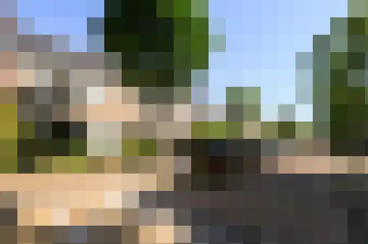 Gerberalaan 44 Naaldwijk thumbnail 36