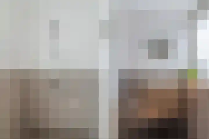 Gerberalaan 46 Naaldwijk thumbnail 22