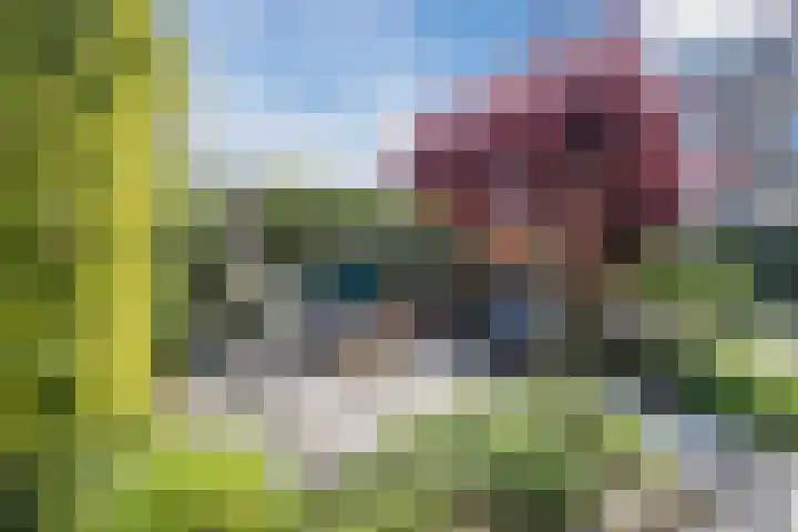 Gerberalaan 46 Naaldwijk thumbnail 33