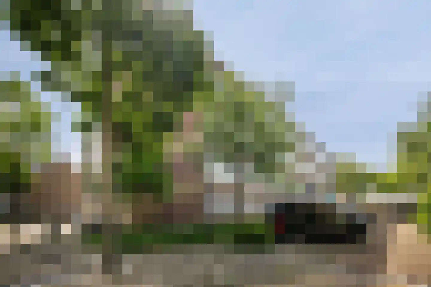 Gerberalaan 71 Naaldwijk thumbnail 19
