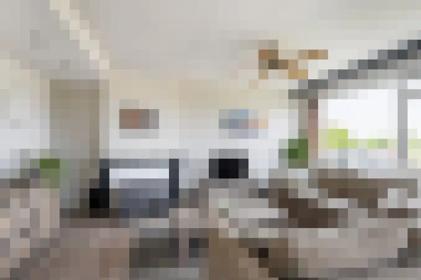 Gerberalaan 71 Naaldwijk thumbnail 5