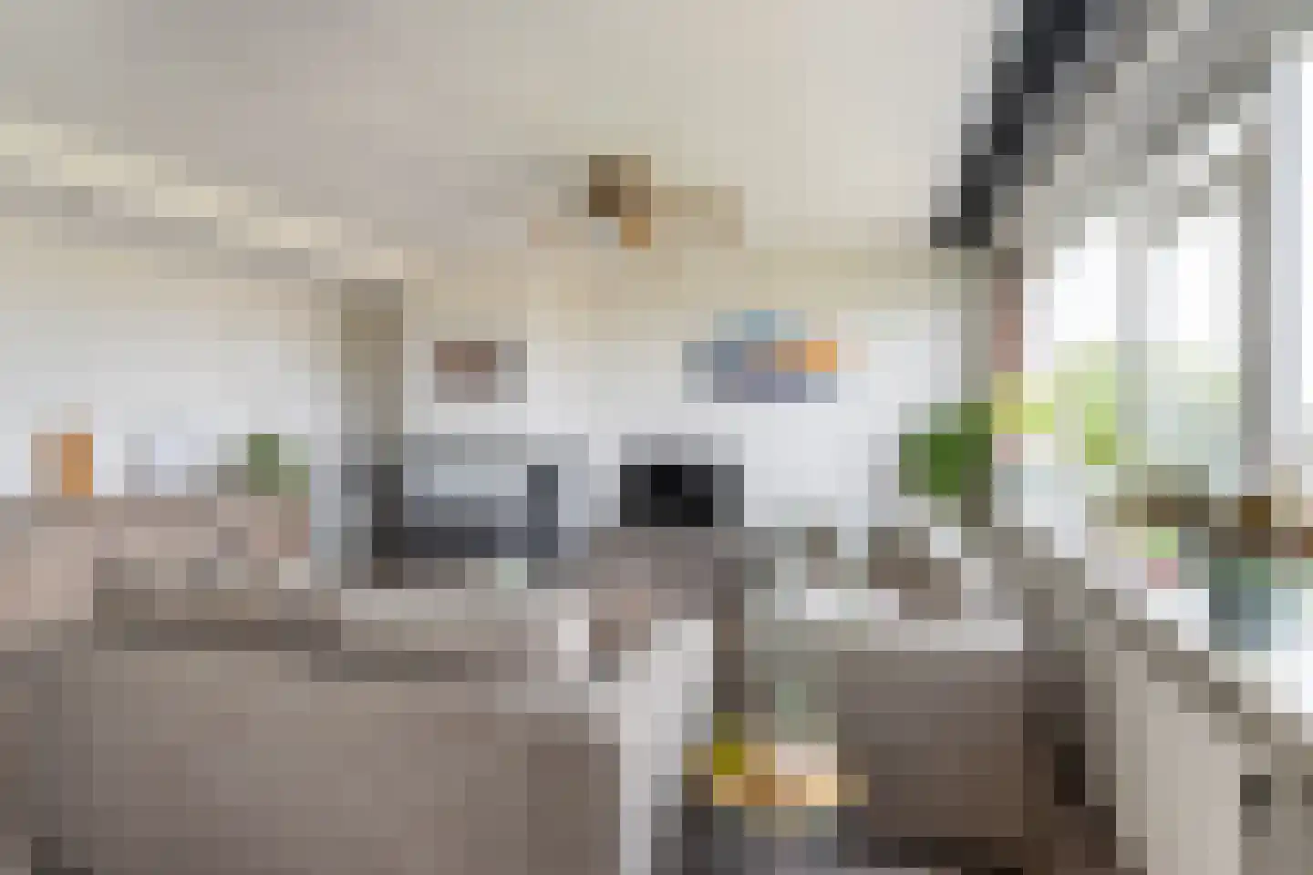 Gerberalaan 71 Naaldwijk thumbnail 6