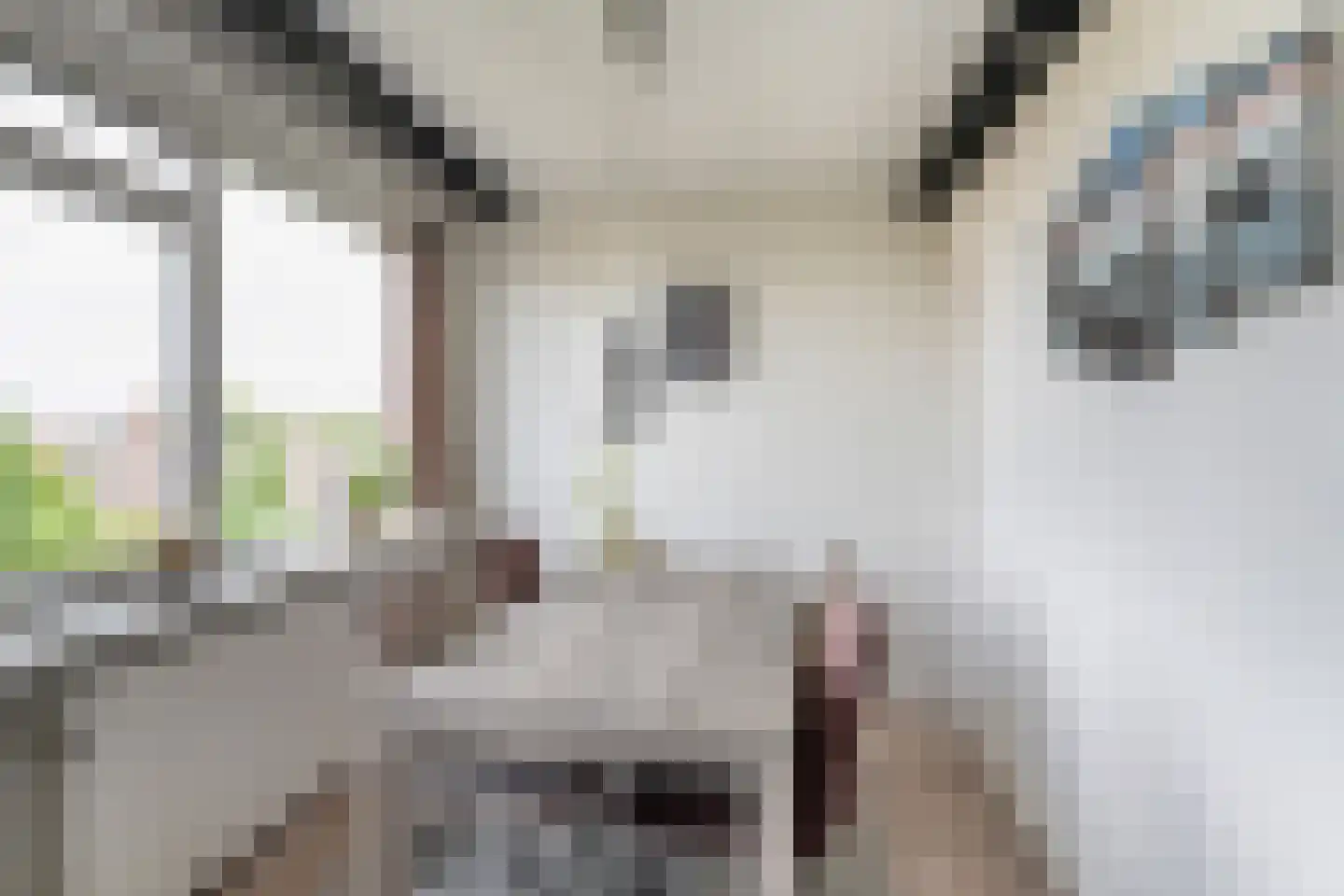Gerberalaan 71 Naaldwijk thumbnail 8