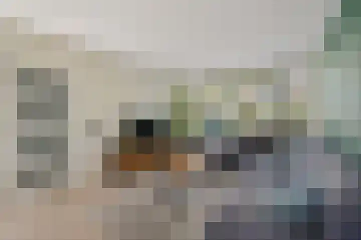 Gerberalaan 9 Naaldwijk thumbnail 11