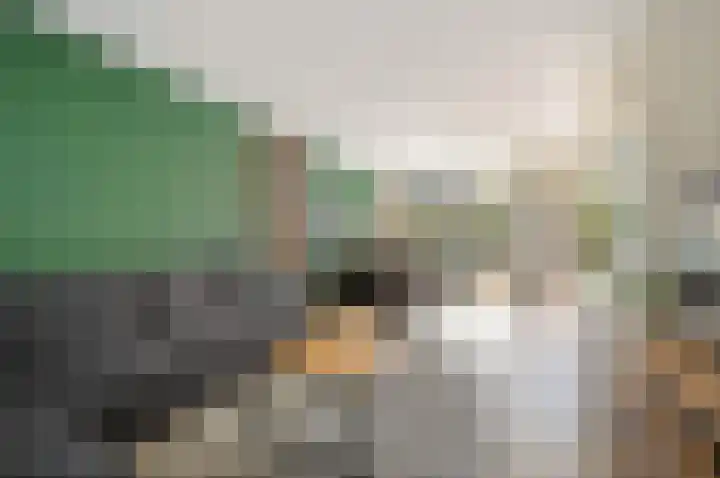 Gerberalaan 9 Naaldwijk thumbnail 12