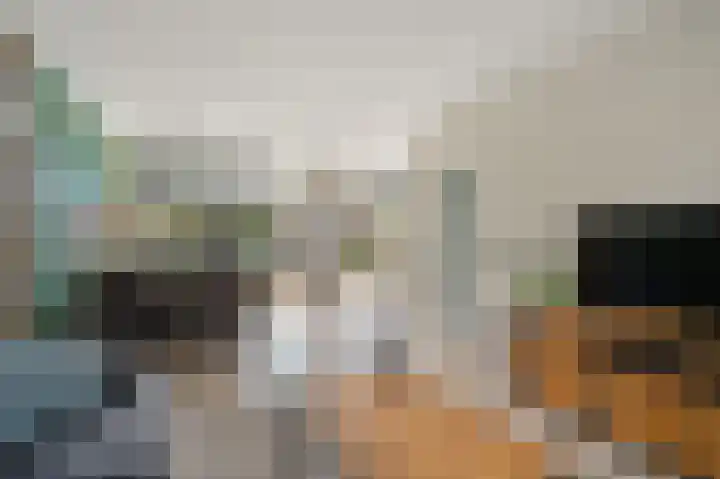 Gerberalaan 9 Naaldwijk thumbnail 13