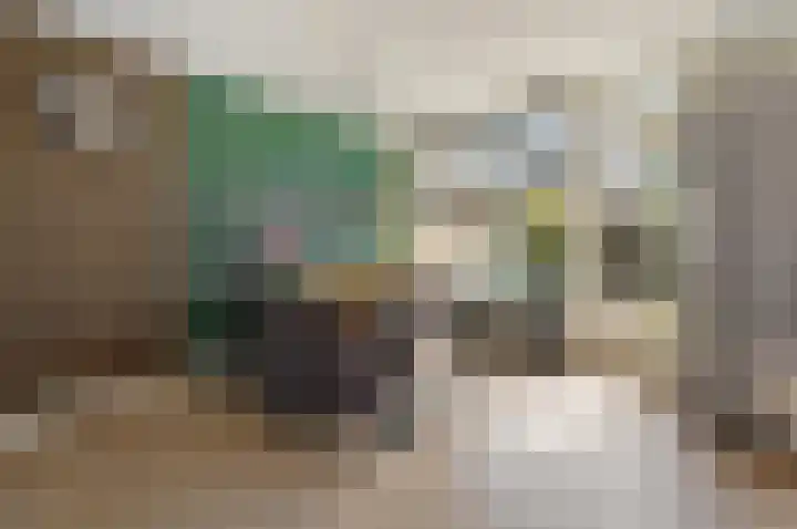 Gerberalaan 9 Naaldwijk thumbnail 14