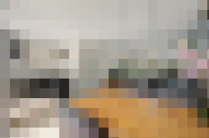 Gerberalaan 9 Naaldwijk thumbnail 15