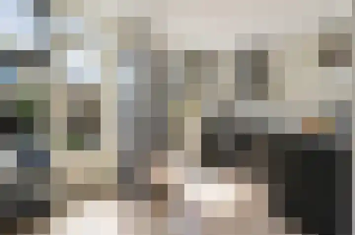 Gerberalaan 9 Naaldwijk thumbnail 16