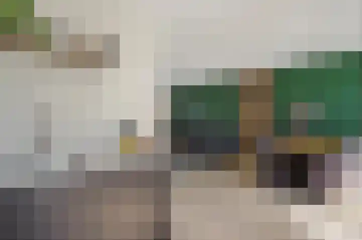 Gerberalaan 9 Naaldwijk thumbnail 17