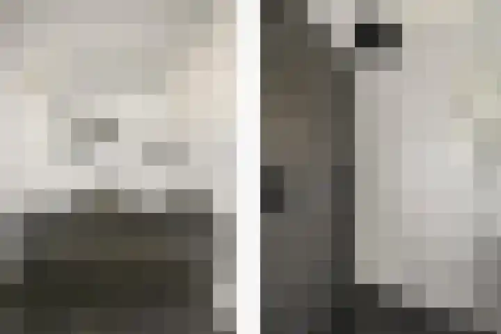 Gerberalaan 9 Naaldwijk thumbnail 20