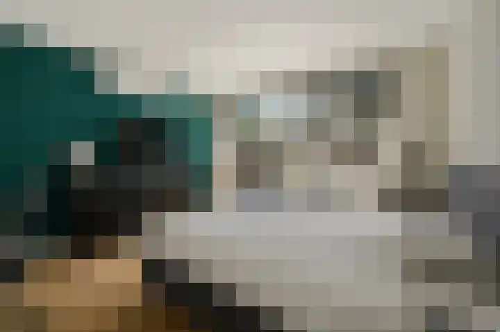 Gerberalaan 9 Naaldwijk thumbnail 21