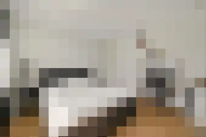 Gerberalaan 9 Naaldwijk thumbnail 22