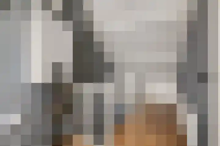 Gerberalaan 9 Naaldwijk thumbnail 26