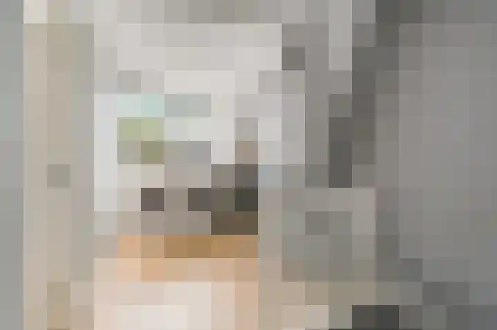 Gerberalaan 9 Naaldwijk thumbnail 29