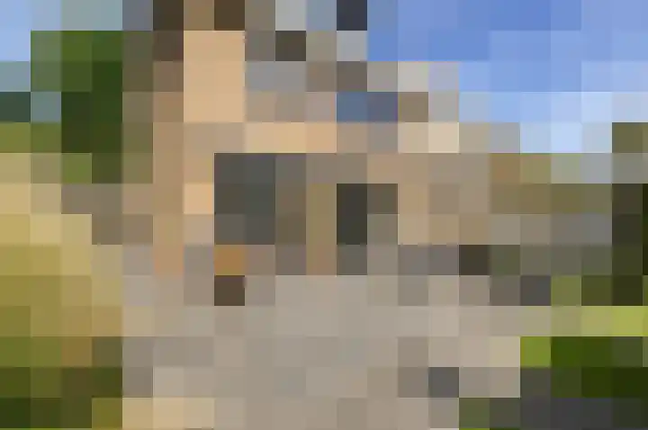 Gerberalaan 9 Naaldwijk thumbnail 30