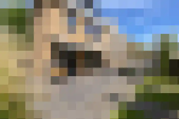 Gerberalaan 9 Naaldwijk thumbnail 31