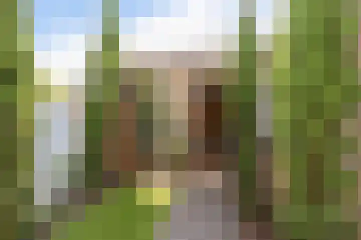 Gerberalaan 9 Naaldwijk thumbnail 32