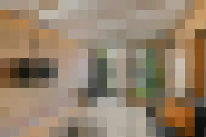 Gerberalaan 9 Naaldwijk thumbnail 34