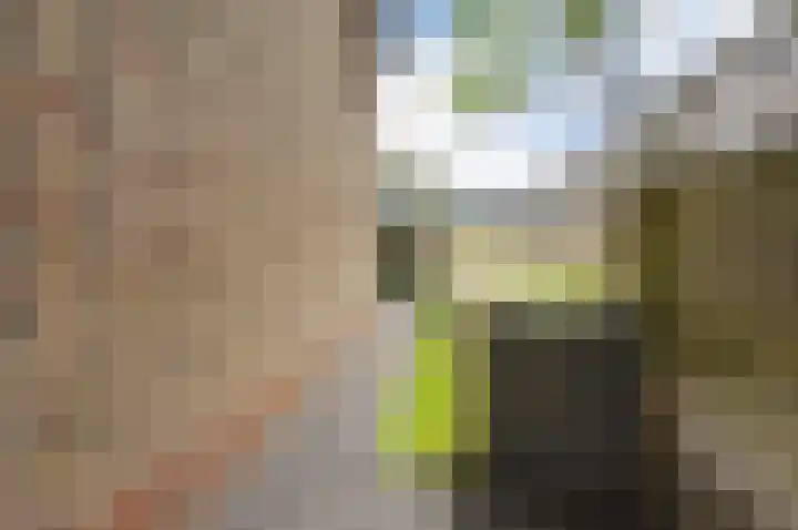 Gerberalaan 9 Naaldwijk thumbnail 36