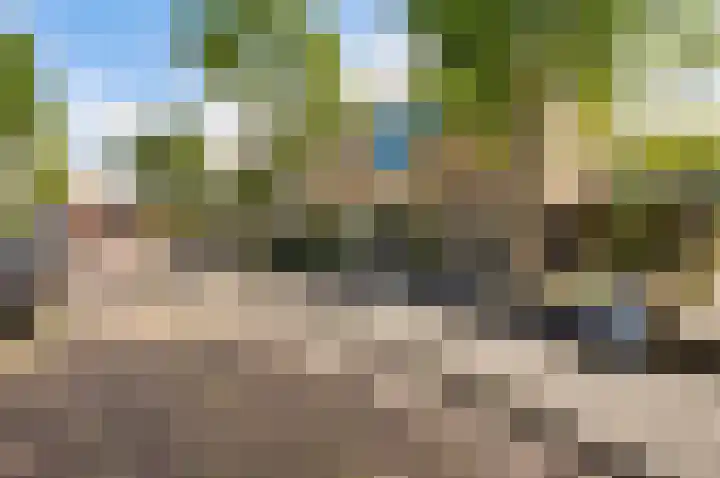 Gerberalaan 9 Naaldwijk thumbnail 37