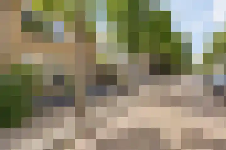 Gerberalaan 9 Naaldwijk thumbnail 38