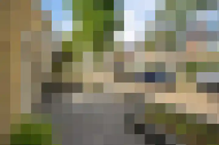 Gerberalaan 9 Naaldwijk thumbnail 39