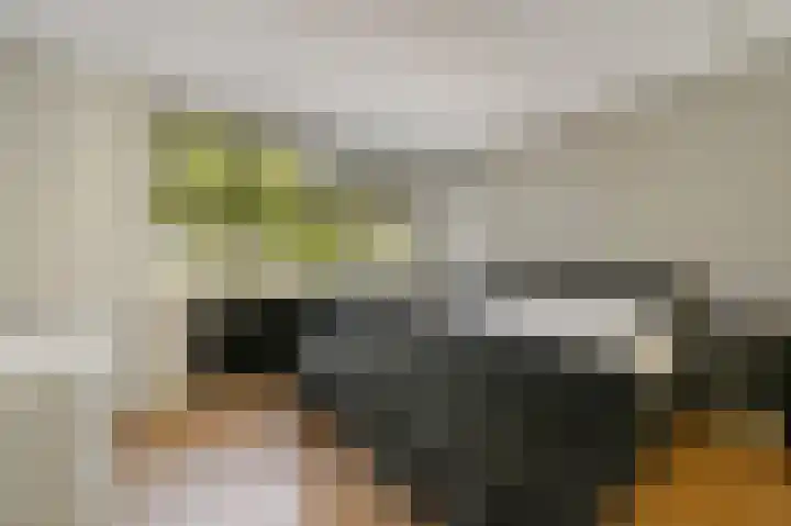 Gerberalaan 9 Naaldwijk thumbnail 4