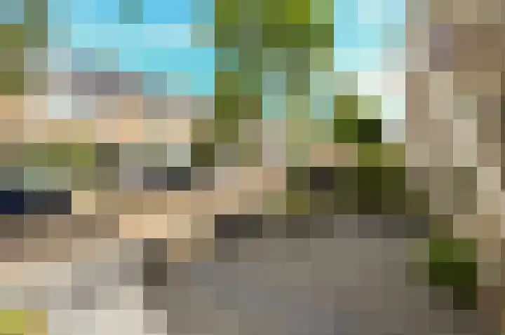 Gerberalaan 9 Naaldwijk thumbnail 40
