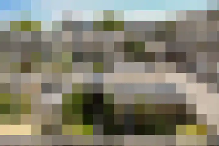 Gerberalaan 9 Naaldwijk thumbnail 41