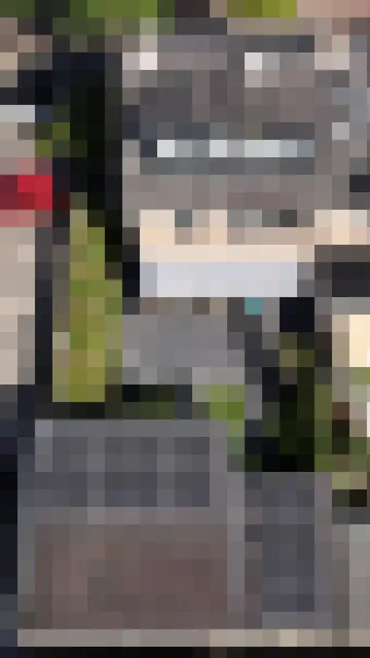 Gerberalaan 9 Naaldwijk thumbnail 42