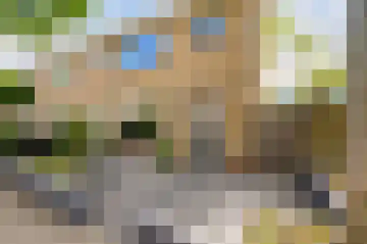 Gerberalaan 9 Naaldwijk thumbnail 49
