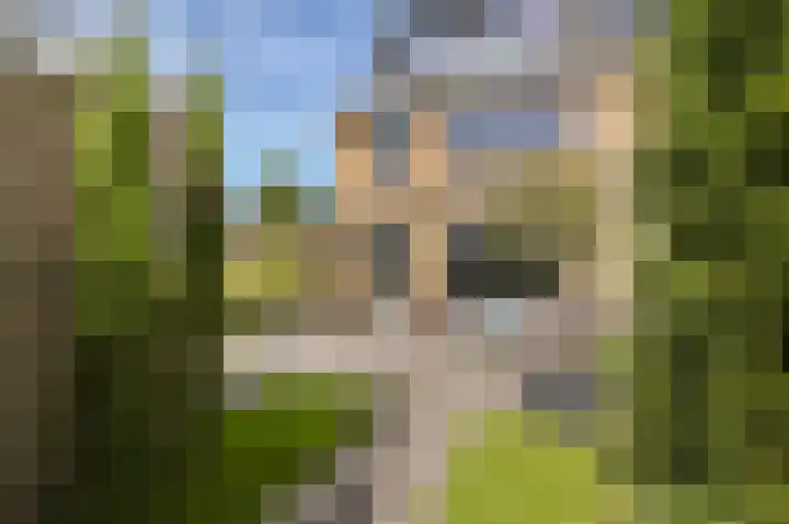Gerberalaan 9 Naaldwijk thumbnail 6