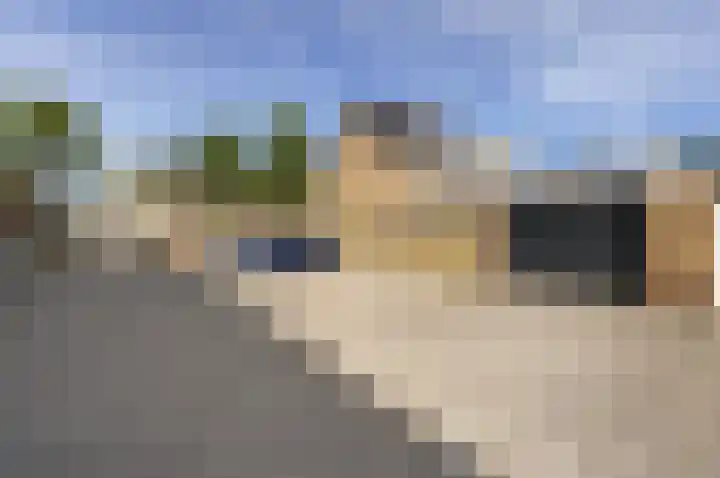 Gerberalaan 9 Naaldwijk thumbnail 8